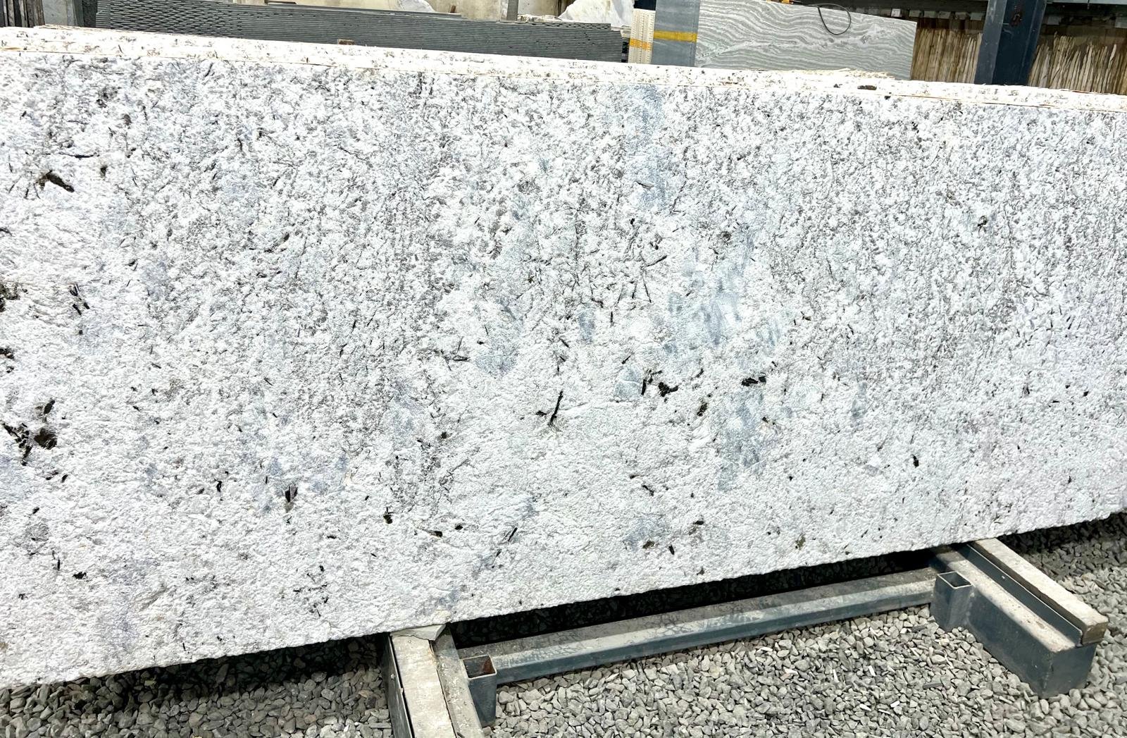 WhatsApp Image 2026-01-28 at 3.26.39 PM