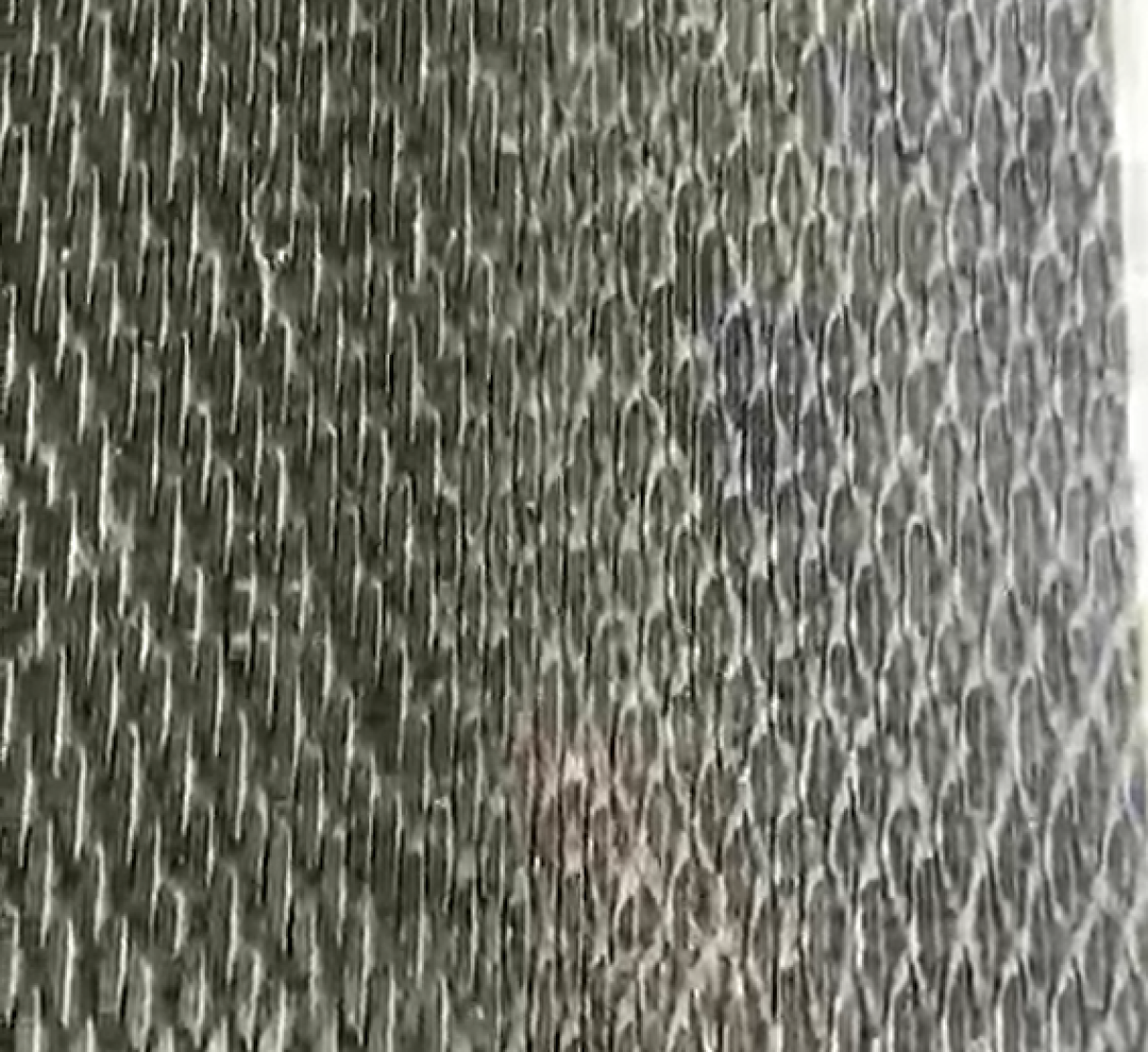 Screenshot 2026-01-28 155109