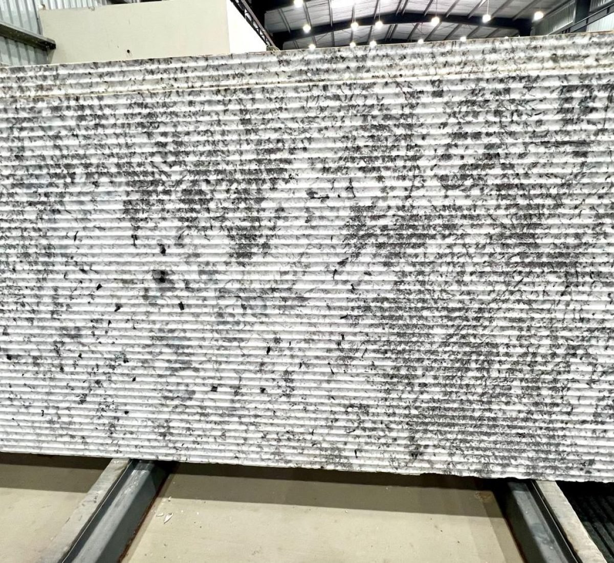 WhatsApp Image 2026-01-28 at 3.26.17 PM (3)