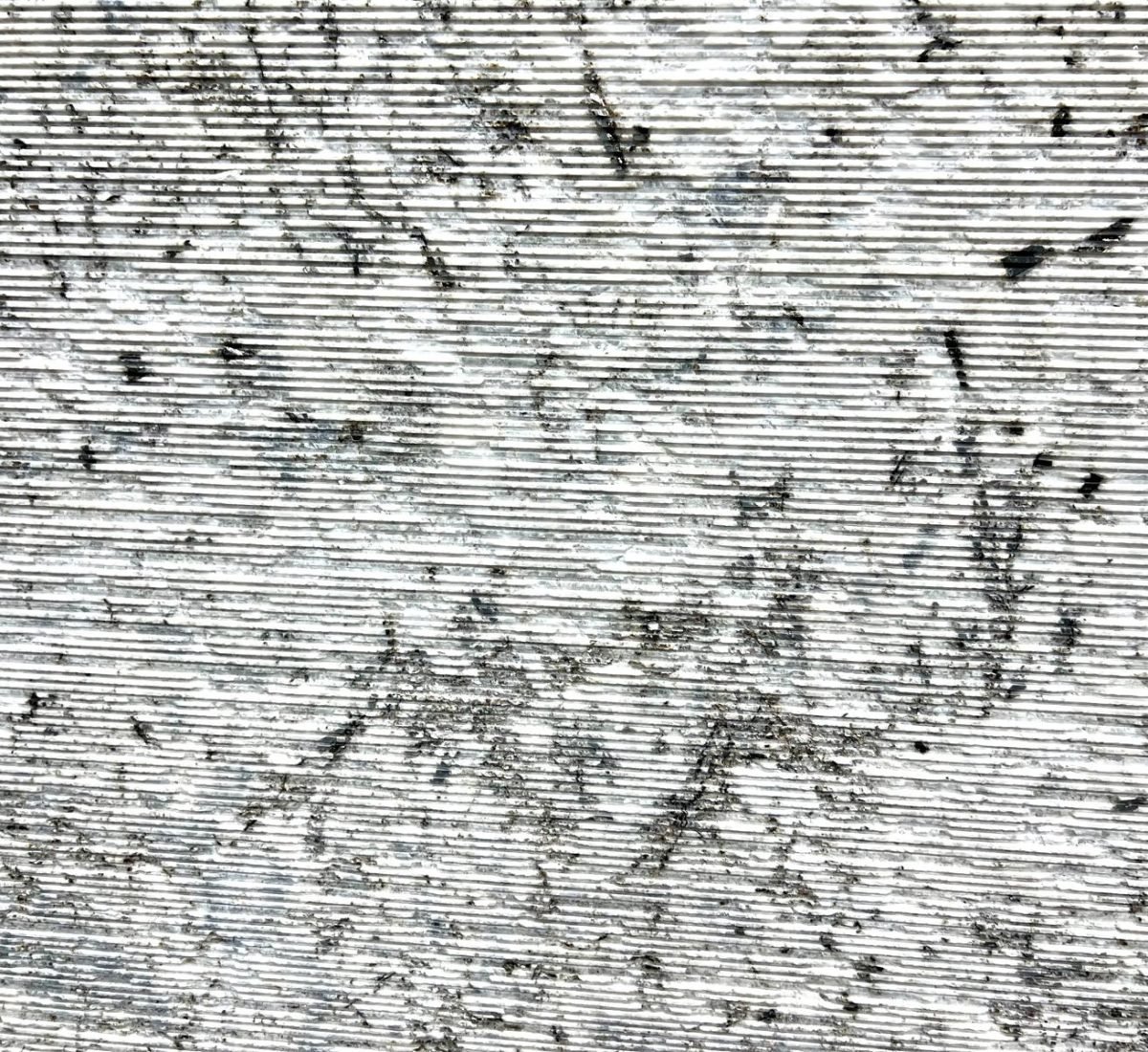 WhatsApp Image 2026-01-28 at 3.26.18 PM (1)