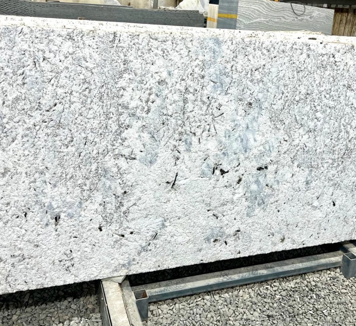 WhatsApp Image 2026-01-28 at 3.26.39 PM