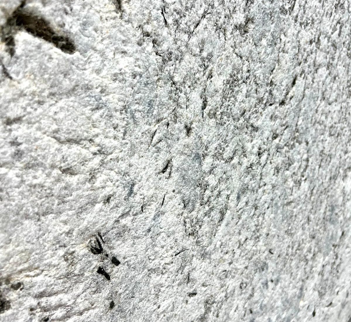 WhatsApp Image 2026-01-28 at 3.26.40 PM (1)